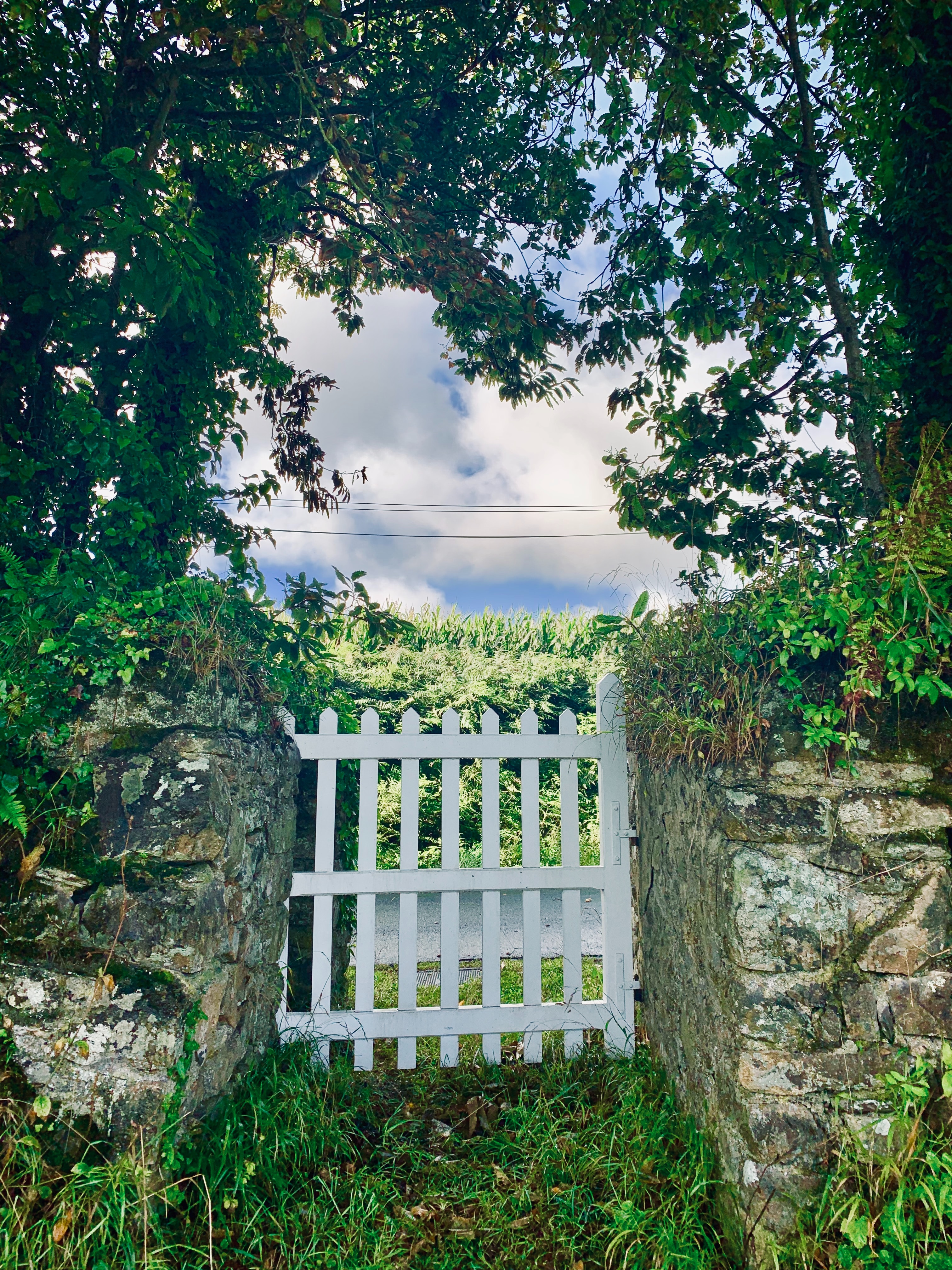 lomig-5pbW2lc2_wQ-unsplash