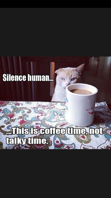 silence human